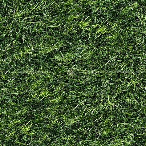 Grass Seamless Texture In Grass Texture Seamless Texture Sexiz Pix Sexiz Pix