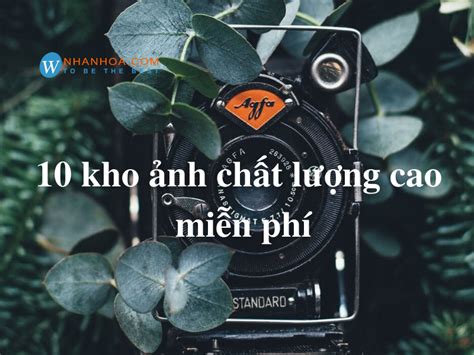 Ảnh Chất Lượng Cao Miễn Phí 395 Hình Ảnh Miễn Phí Của Chất Lượng Cao