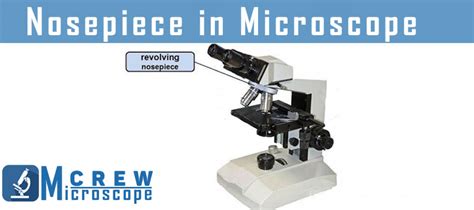 What Does The Revolving Nosepiece Do On A Microscope Microscope Crew