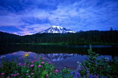 Flowers Lakes Mountains Sky Reflection Trees