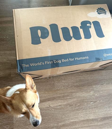 Plufl Human Dog Bed Review With Photos Popsugar Home Uk