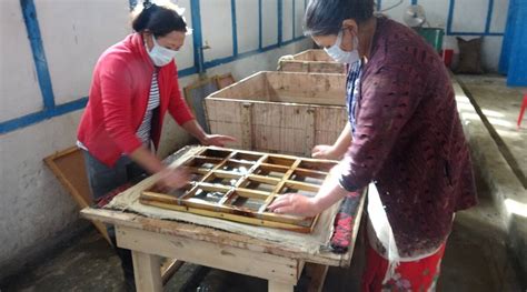 In Arunachal, a 1000-year-old paper-making technique turns ...