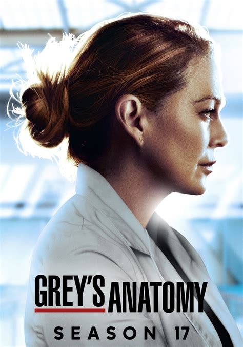 Greys Anatomy Season 17 Watch Episodes Streaming Online