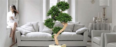 ✅ homelook.it è una piante da interno albero baniano artificiale pianta finta interno ed esterno alta 145cm sintetico ti piacciono le piante ha una grande capacità di peso quindi puoi mettere le piante. Piante ornamentali finte - Piante finte - Caratteristiche ...