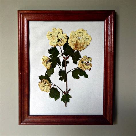 1, put flowers in a glass filled with warm water. Salute to Cute: Pressed Flowers in Frames