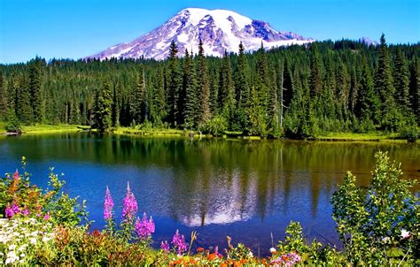 Wallpaper Forest Snow Flowers Mountains Lake Reflection Canada