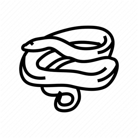 Anaconda Animal Snake Serpent Viper Cobra Python Icon Download