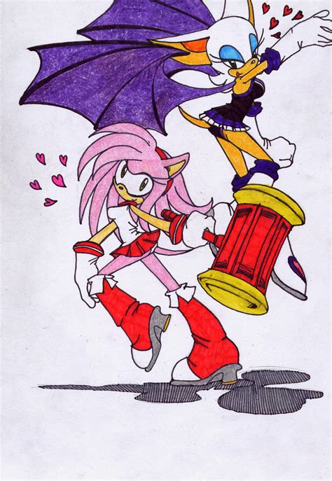 Amy And Rouge Combat By Dawnhedgehog555 On Deviantart