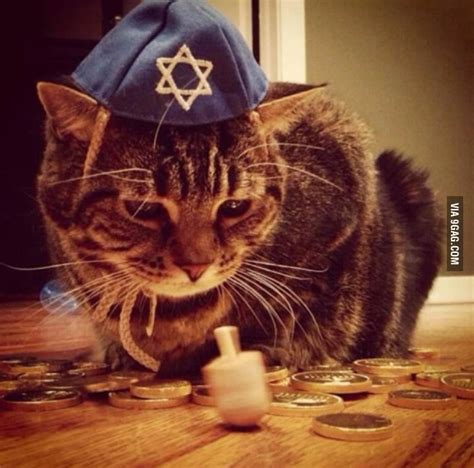 Jewish Cat Names