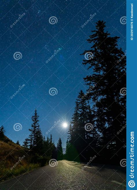 Starry Night In Summer Night And Bright Moon Light Stock Photo