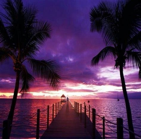 Purple Sunset Hawaii Sunsets Hawaii Hawaiian Sunset Earth Pictures