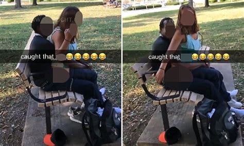 couple has sex on an illinois park bench daily mail online