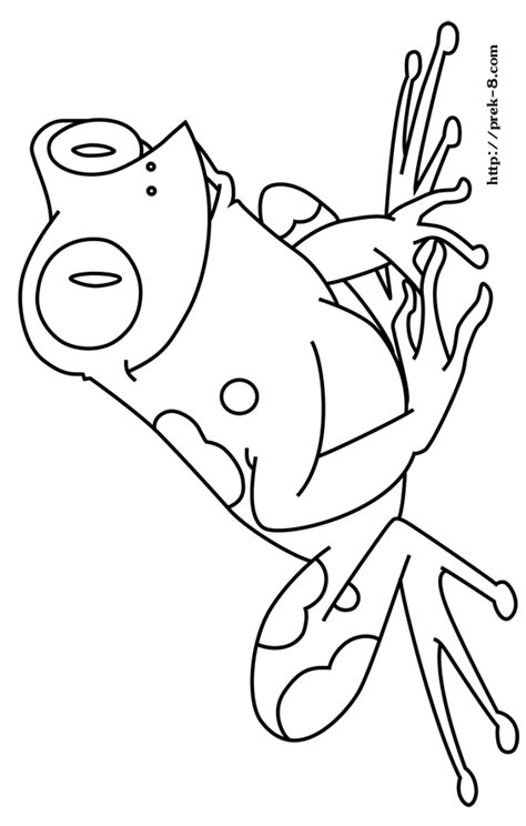 Red Eyed Tree Frog Coloring Download Red Eyed Tree Frog Coloring For