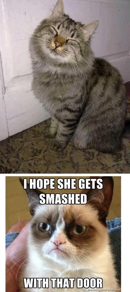 Grumpy Cat Grumpy Cat Smashed
