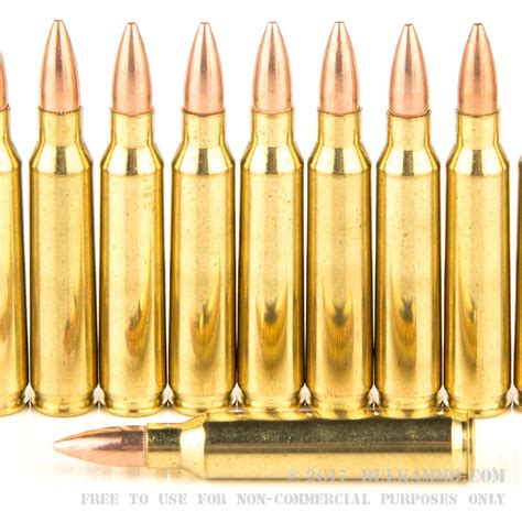 Rifle Calibers Explained Complete Guide To Caliber Sizes Gun News Daily