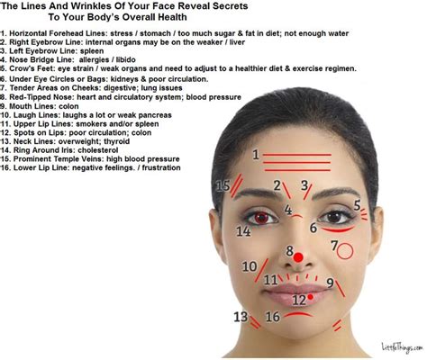 The Lines And Wrinkles Of Your Face Can Tell You About Your Bodys Overall Health Wrinkles