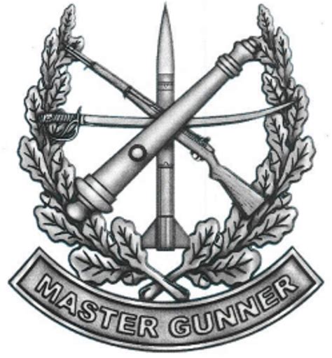 Army Plans To Roll Out New Master Gunner Badge For Qualified Soldiers