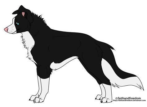Border Collie Adopt 1 Closed By Nj Adopts On Deviantart
