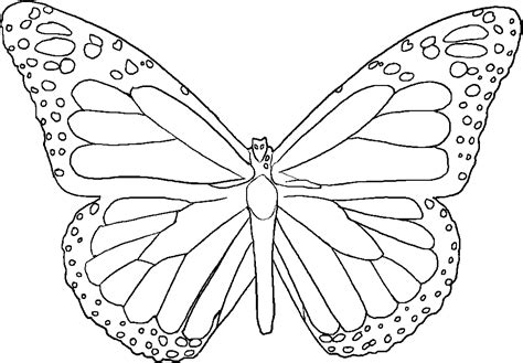 Butterfly Template To Print Coloring Home