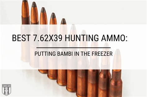 Best 762x39 Hunting Ammo Recommended By