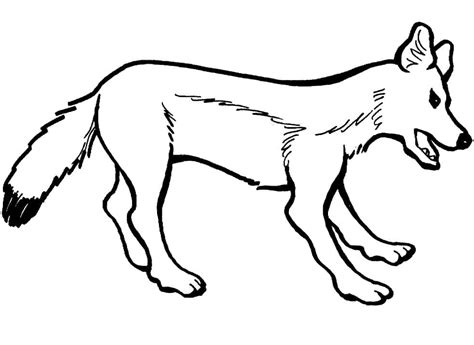 Normal Fox coloring page - Download, Print or Color Online for Free