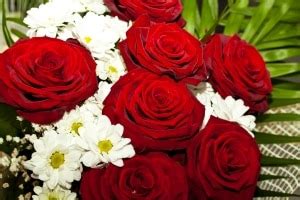 Herzliche glückwünsche zu eurer … Rosenhochzeit: Alles zum 10. Hochzeitstag + 30 Sprüche & Mustertexte