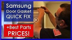 How To Replace A Samsung Refrigerator Door Gasket - DIY Video