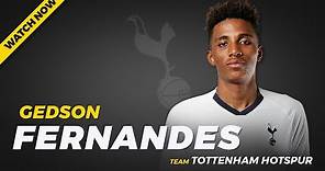 GEDSON FERNANDES ► Amazing Goals & Skills (Tottenham Hotspur)