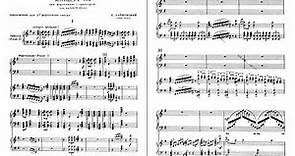 P.I. Tchaikovsky - Piano Concerto No.2 in G major, Op.44 (Pletnev, Fedoseyev)