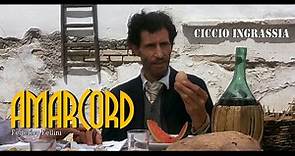Amarcord (1973) Full HD - Video Dailymotion