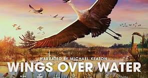 Wings Over Water OFFICIAL TRAILER