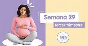 Semana 29 de embarazo: ¡Empieza a prepararte!