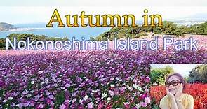 Nokonoshima Island Park in Autumn, Fukuoka [JAPAN TRAVEL GUIDE]