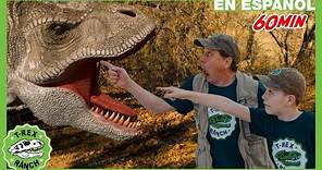 ¡Búsqueda de la madre T-Rex gigante de tamaño natural! | Videos de dinosaurios y juguetes para niños