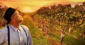 From The Vine (2019) | Official Trailer, Full Movie Stream Preview - video Dailymotion