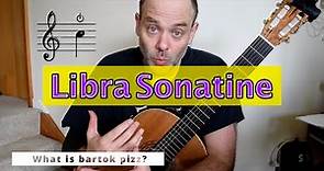 What is, & How To Play, Bartok Pizzicato on Guitar