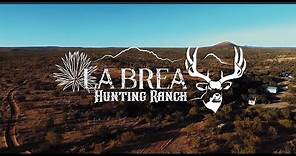 La Brea Hunting Ranch - hunting mule deer sonora.