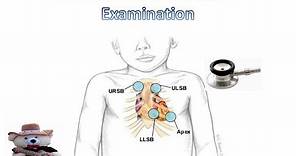 Pediatric Cardiovascular Examination