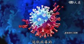 【探索疫象】看懂新冠數值 COVID 19 變種病毒 冠狀病毒