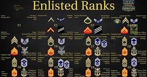 US Military (All Branches) ENLISTED Ranks Explained