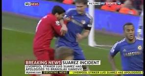 Luis Suarez Biting Incidents
