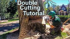 Double Cut Tutorial! How to fell a tree that's bigger than your bar.
