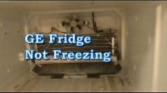 GE Fridge not freezing