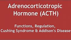 Adrenocorticotropic Hormone (ACTH)-Functions, Regulation, Cushing Syndrome & Addison's Disease [ENG]