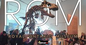 Largest Museum in Canada // Royal Ontario Museum (ROM) Virtual Tour // 2024