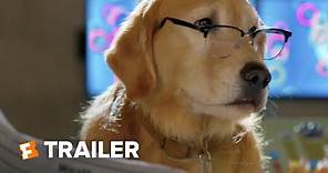 Cats & Dogs 3: Paws Unite! Trailer #1 (2020) | Fandango Family