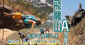 飛鵝山A字崖 自殺崖[香港行山郊遊好去處] 象山 東山 大老山 慈雲山 |新春九龍行大運|自我奮發走上自我高峰| 差DD無上到獅子山 但介紹一條上獅子山既快捷路徑| 九龍行山路線