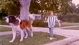 Ein Hund namens Beethoven - Trailer (1993)