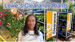 Lowe's Plant Shopping I Indoor & Outdoor Clearance Plants I JerseyWifeJerseyLife