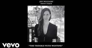 Joy Williams - The Trouble with Wanting (Audio)